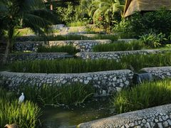 -新加坡飞禽公园