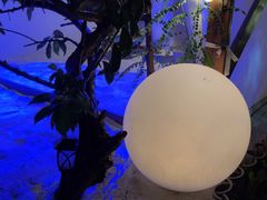 -西西里轰趴日租聚会别墅·团建拓展