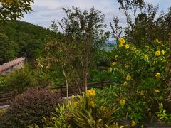 -广州白江湖森林公园