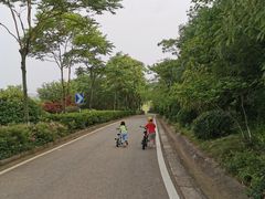 -羊山湖公园