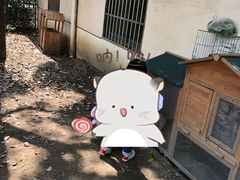 -蒙蒙狮蒙台梭利儿童之家
