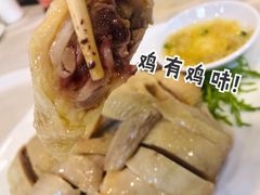 -清新鸡沙田乳鸽店(金融店)