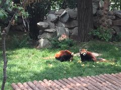 -西安秦岭野生动物园