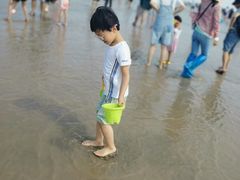 -奉贤海滩