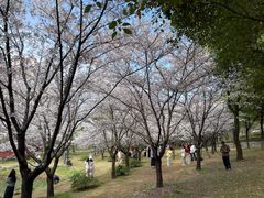 -屈原公园