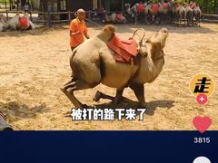 -古柏渡飞黄旅游区