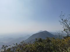 -杭州半山国家森林公园