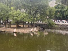 -黔灵山公园