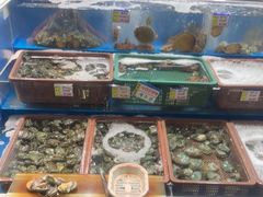 -西归浦每天偶来市场