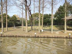 -上海野生动物园