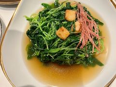 上汤浸时蔬-伯衡55·吉品轩(乌鲁木齐南路店)
