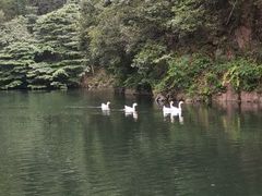 -周洛大峡谷