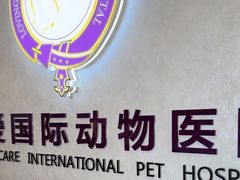-宠爱国际动物医院·疑难骨科·心肾内科·皮肤科(太阳宫店)