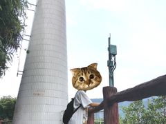 -羚羊峡古栈道森林公园