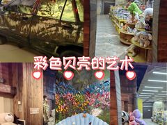 -萌宠奇缘(荣鼎店)