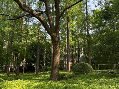 -徐家汇源景区-衡山公园