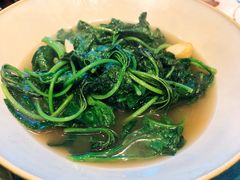 水煮冬苋菜-天怡·鱼工厂(临江店)