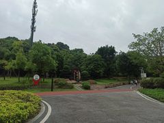 -飞凤山奥体公园