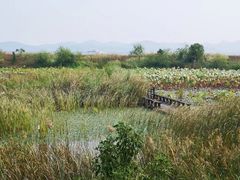 -象山森林公园
