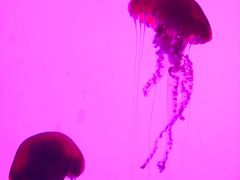 -沈阳海洋探索中心