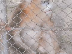 -哈尔滨北方森林动物园