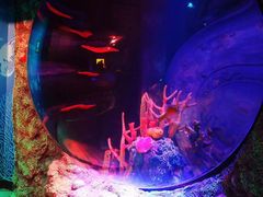 -沈阳海洋探索中心