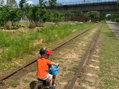 -永定河休闲森林公园