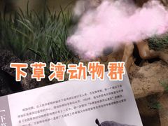 -泗洪县文化艺术中心