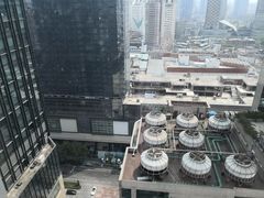 -成都明宇丽雅饭店