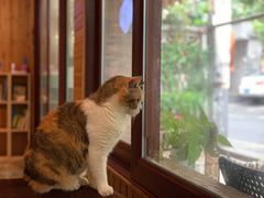 -隅cafe(傅厚岗店)