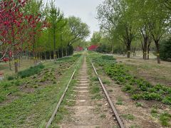 -永定河休闲森林公园