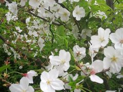 -久久丫鸭脖(金鸡湖欧尚店)