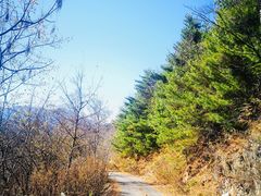 -黑河国家森林公园