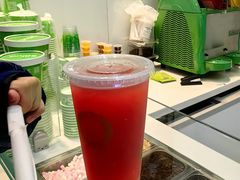-Salud撒露欧洲冻酸奶(蓝色港湾店)