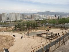 -青藏高原野生动物园
