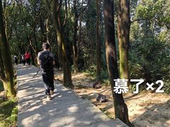 -火炉山森林公园