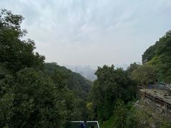 -南山植物园