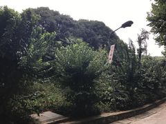 -梅园食堂