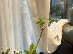 -花锦堂·隐庐