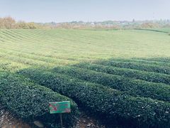 -敬亭山风景名胜区