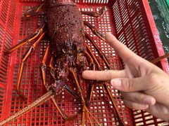 -拉威海鲜市场