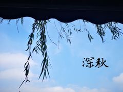 -水岸扬泰·东台鱼汤面(锦延路店)