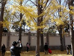 -钓鱼台国宾馆