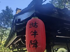 -石台牯牛降景区