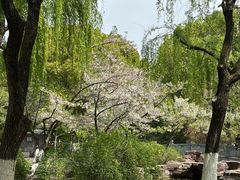 -范蠡湖公园