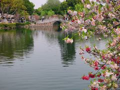 -无锡蠡湖国家湿地公园-蠡园