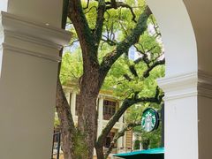 -星巴克臻选(广州沙面店)