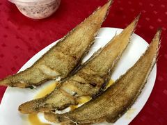 香煎龙利鱼-蛇口康乐快餐鱼仔档(翠苑小区店)