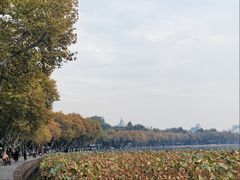 -北山街历史文化街区