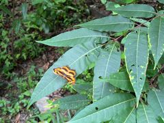 -火炉山森林公园